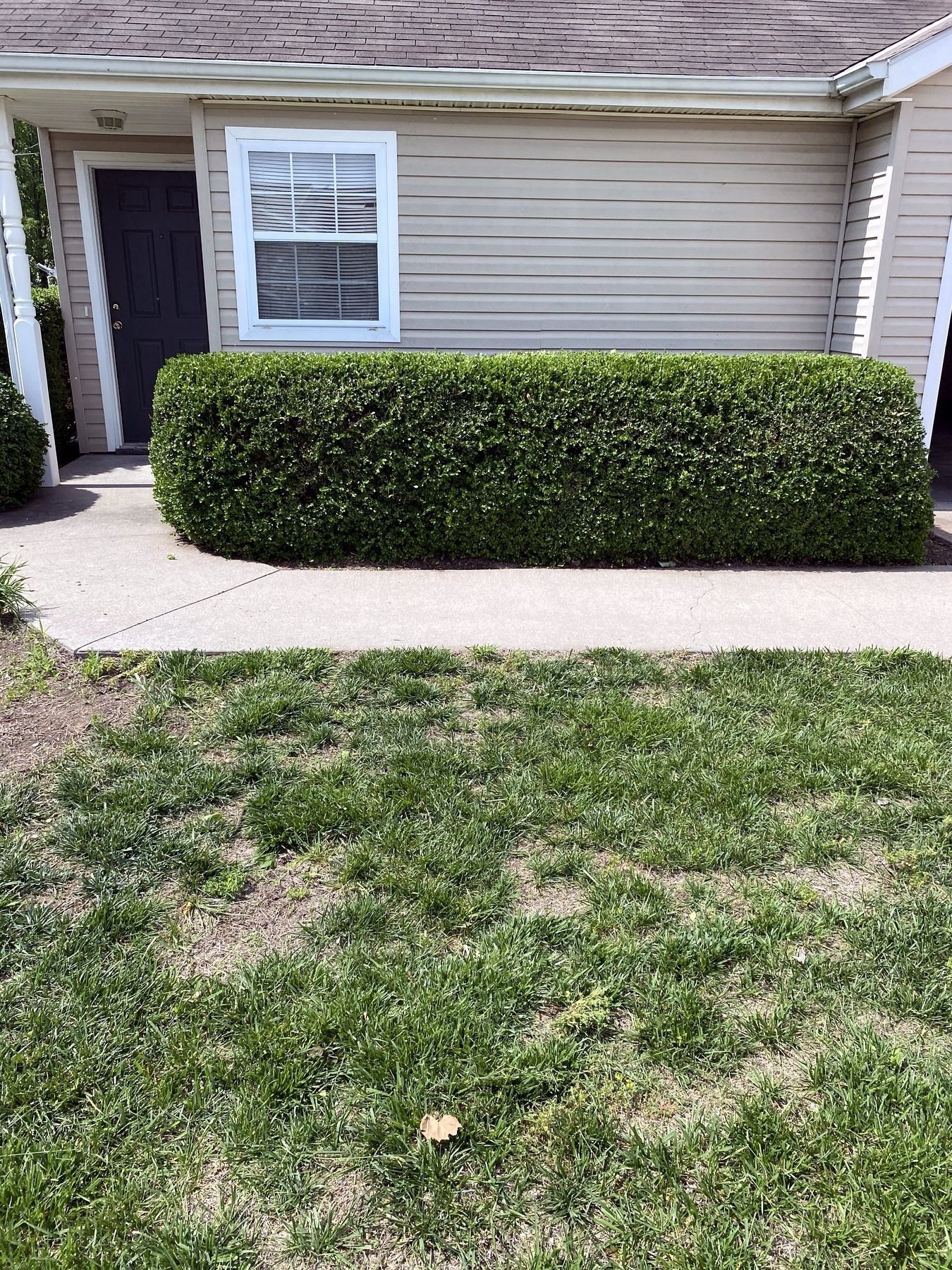 Bush & Shrub Trimming