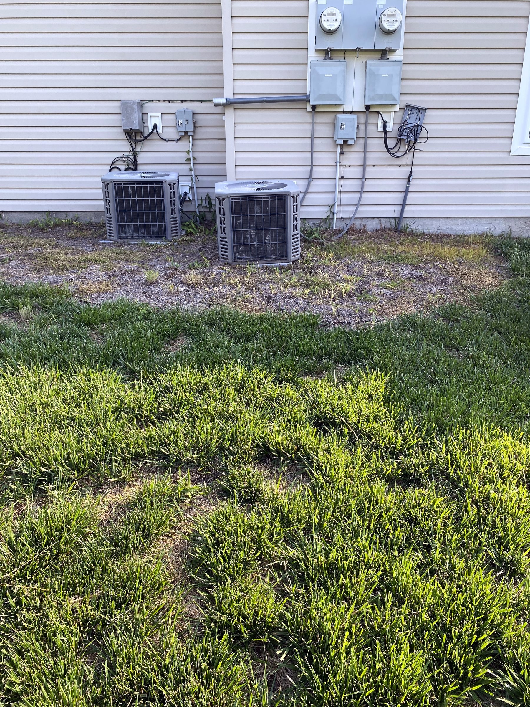 Bed weeding & maintenance