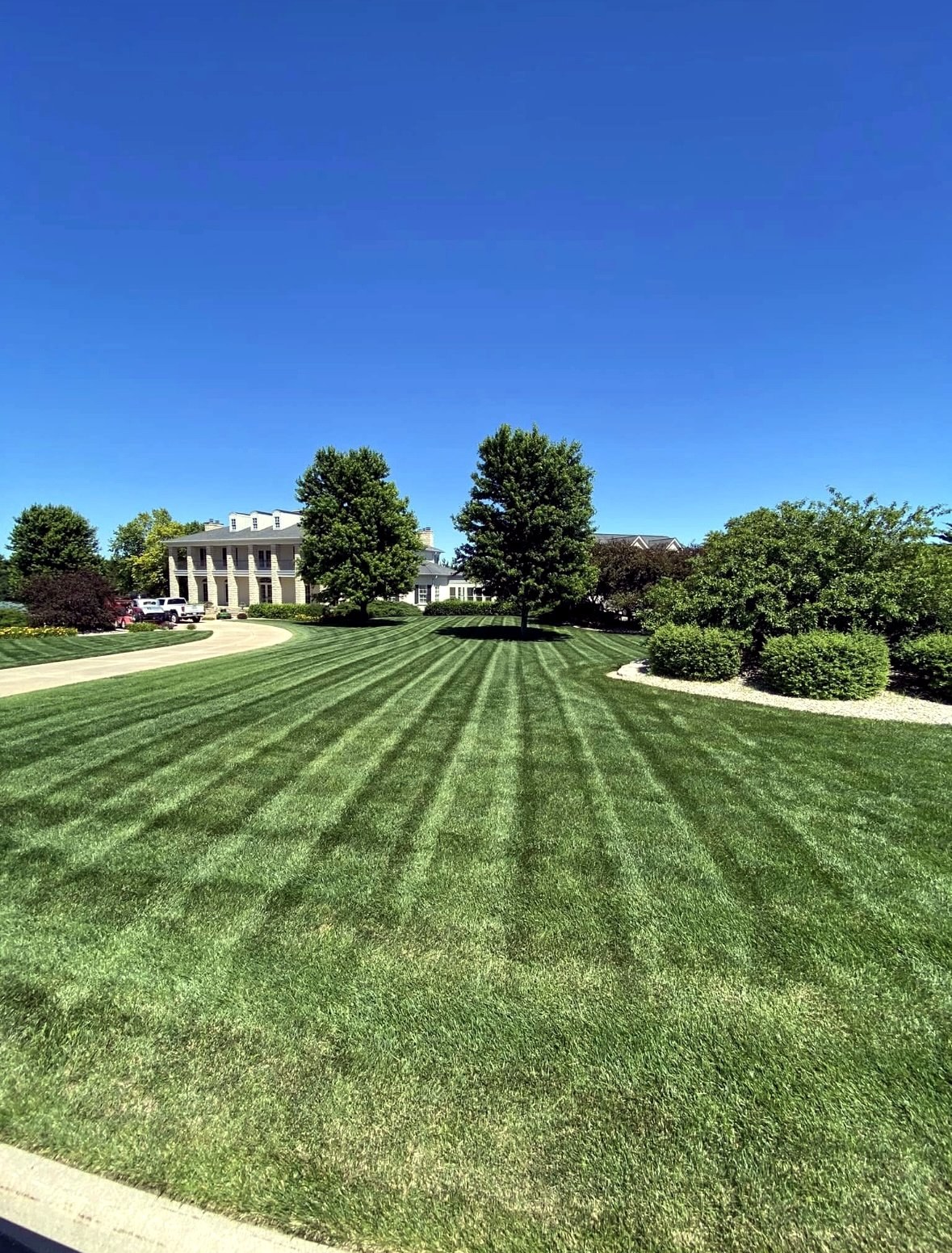 Hero lawn project